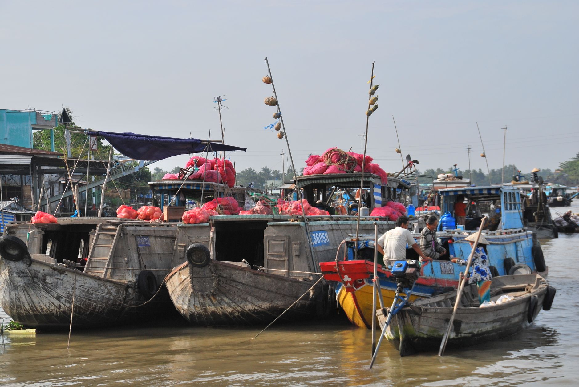 Ghe thuyền chở hàng ở chợ nổi miền Tây — bán nông sản Cần Thơ ra ngoài vùng bằng AI