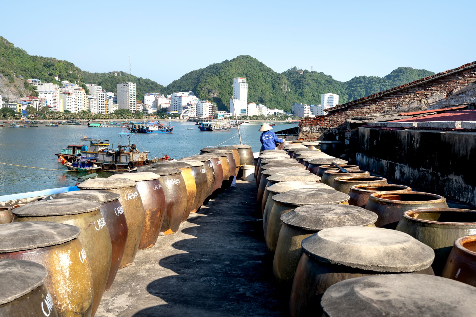 Cảnh biển và làng nghề tại Hải Phòng — đào tạo AI cho doanh nghiệp Hải Phòng